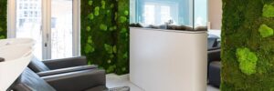 Озеленение стен мхом: преимущества такого оформления интерьера