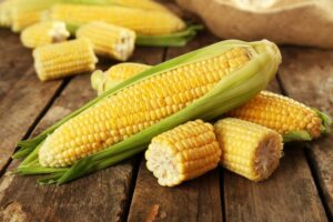 Семена кукурузы: советы по выбору качественных семян