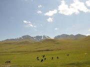 Суусамыр: приключения и красоты горной природы в Кыргызстане