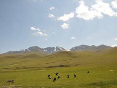 Суусамыр: приключения и красоты горной природы в Кыргызстане