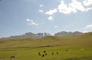 Суусамыр: приключения и красоты горной природы в Кыргызстане