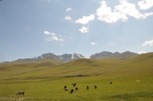Суусамыр: приключения и красоты горной природы в Кыргызстане